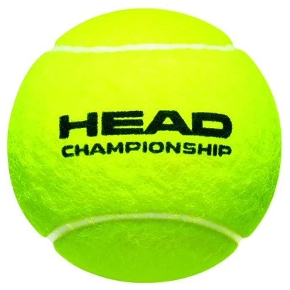 Head Tennisbälle Championship Dose 4er 4 Head Tennisbälle Championship Dose 4er – Bild 2