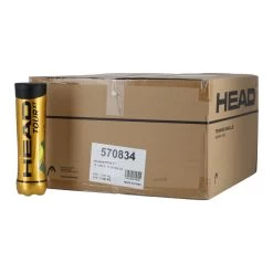Head Tennisbälle Premium Tour XT Dose 36x4er Karton