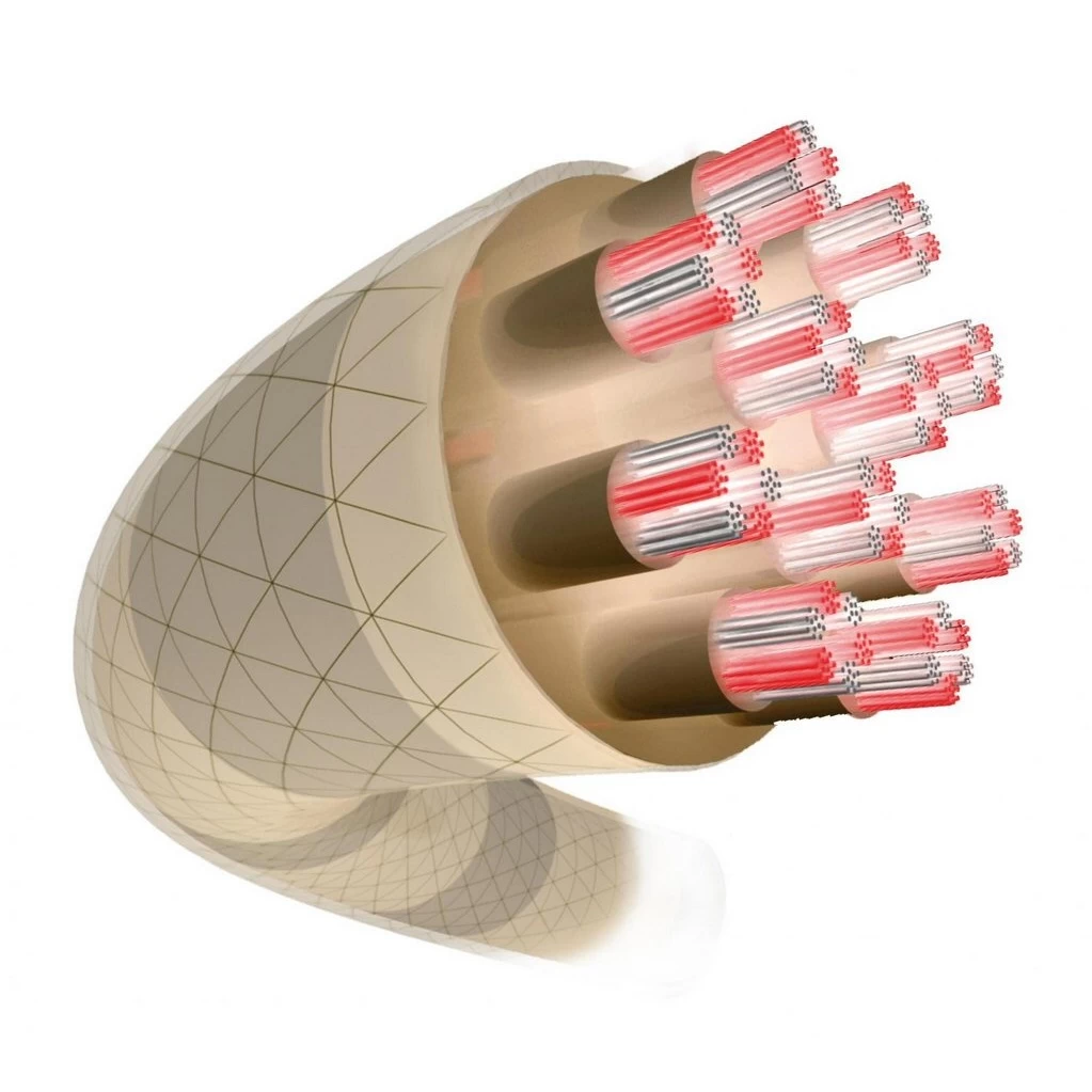 Tecnifibre Tennissaite X-One Biphase (Touch+Power) Natur 12m Set 4 Tecnifibre Tennissaite X-One Biphase (Touch+Power) Natur 12m Set – Bild 2