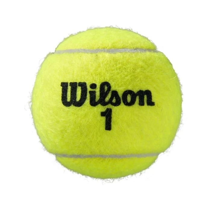 Wilson Tennisbälle Roland Garros Clay Dose 4er 4 Wilson Tennisbälle Roland Garros Clay Dose 4er – Bild 2