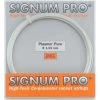 Signum Pro Tennissaite Plasma Pure (Haltbarkeit+Touch) Weiss 12m Set -Tennis Verkaufsgeschäft signumproplasmapureset2009 488x488 1